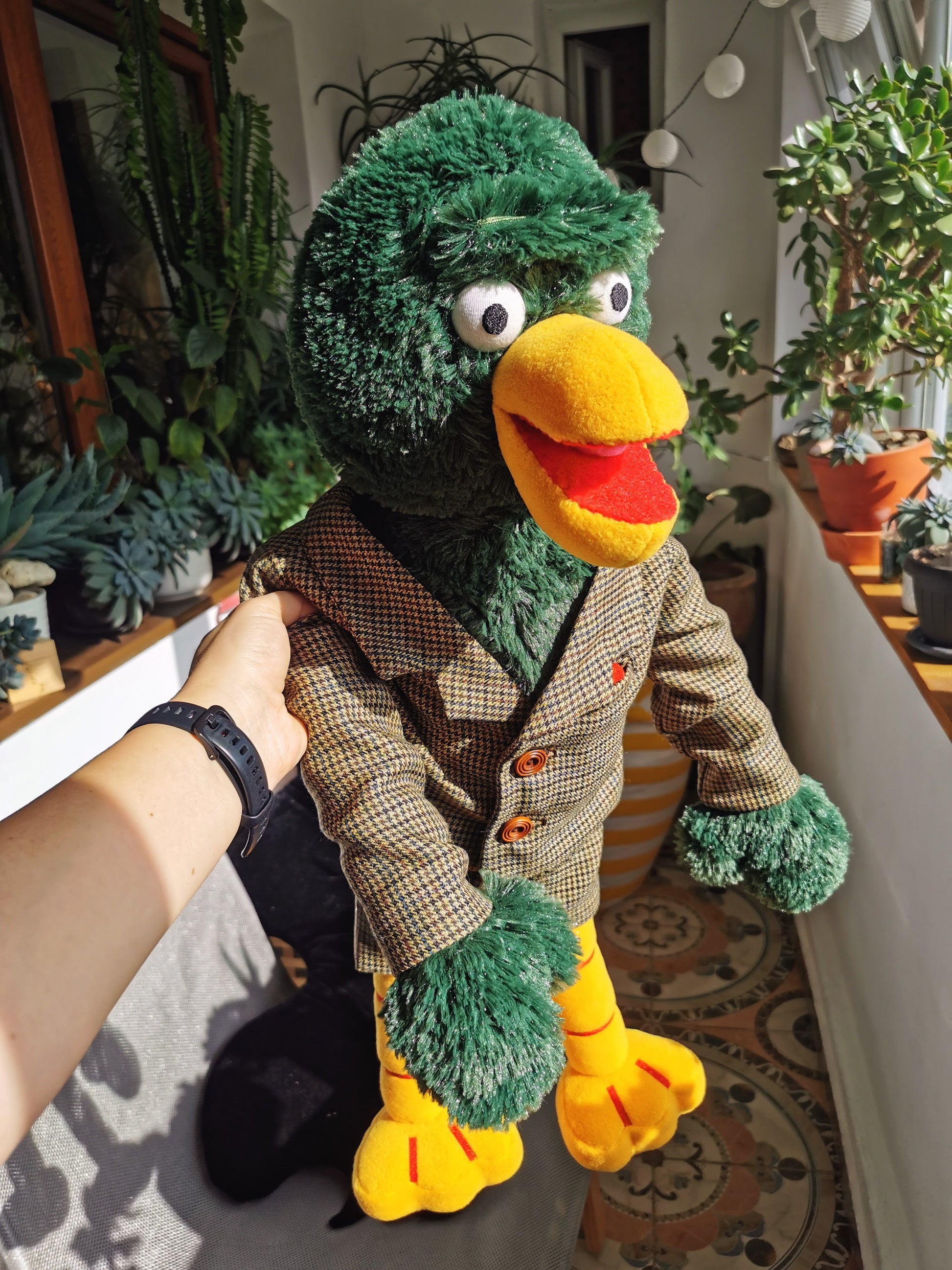 DHMIS Duck (aka David) Plush