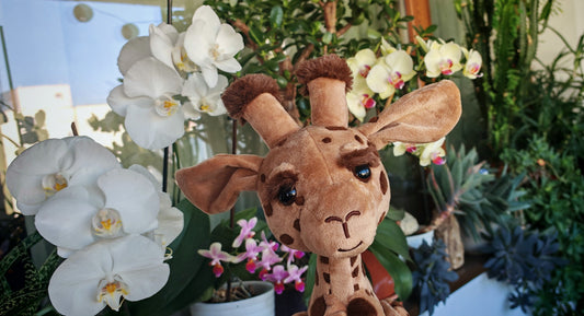 Plush giraffe toy among potted plants and flowers