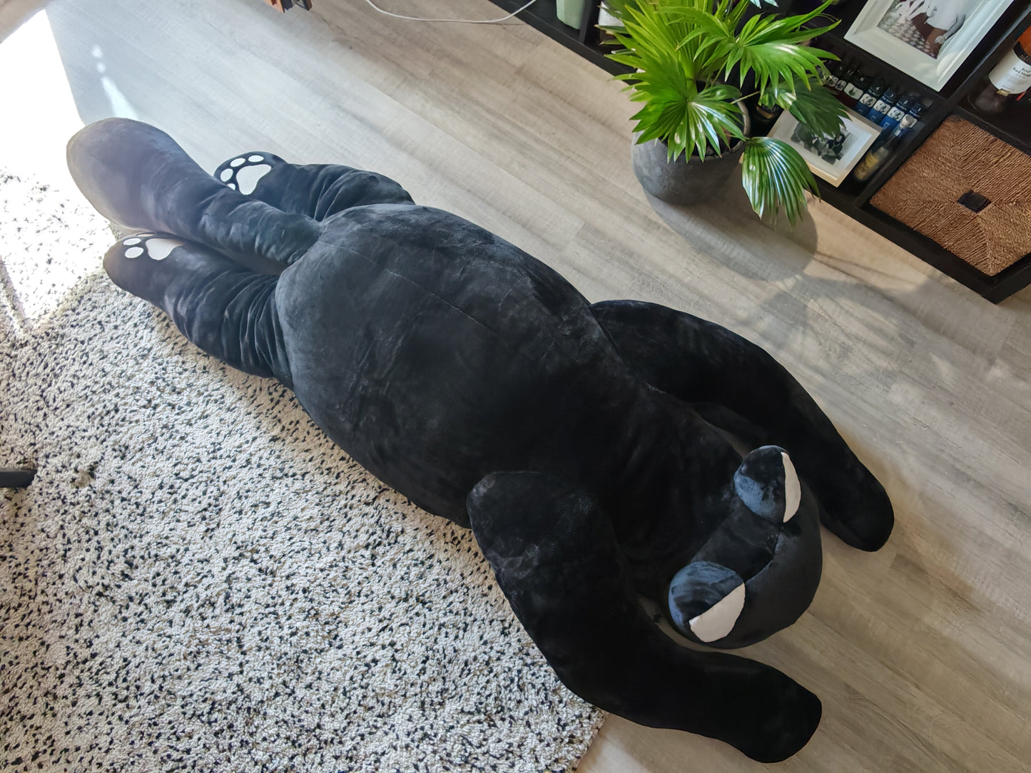 Giant black cat plush 183 cm, replica plush cat Komi Can't Communicate (Manga series) as a human size plush