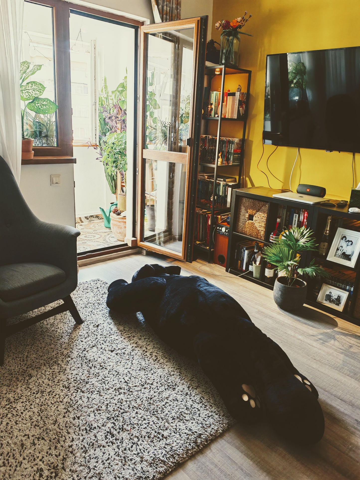 Giant black cat plush 183 cm, replica plush cat Komi Can't Communicate (Manga series) as a human size plush