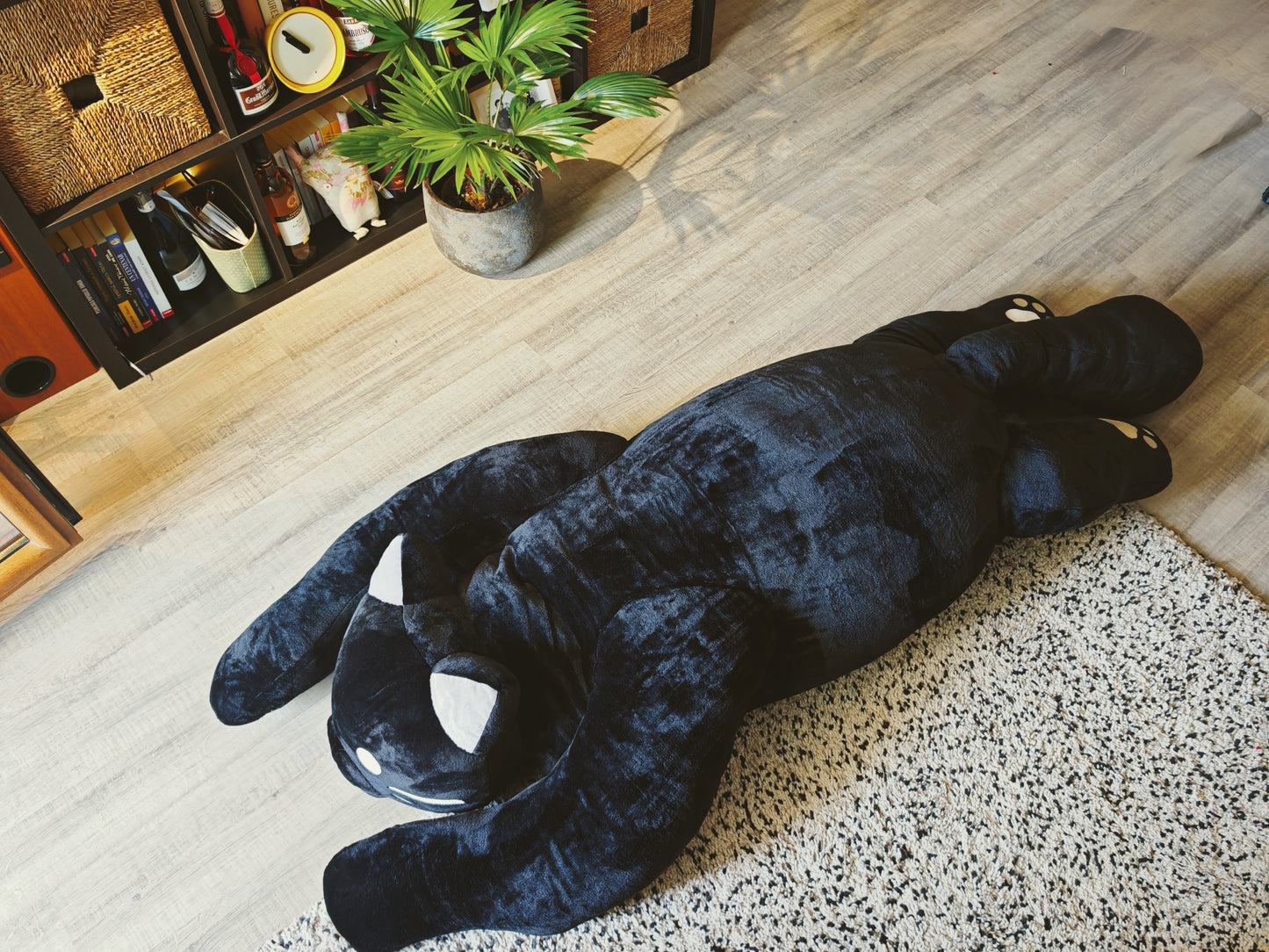 Giant black cat plush 183 cm, replica plush cat Komi Can't Communicate (Manga series) as a human size plush